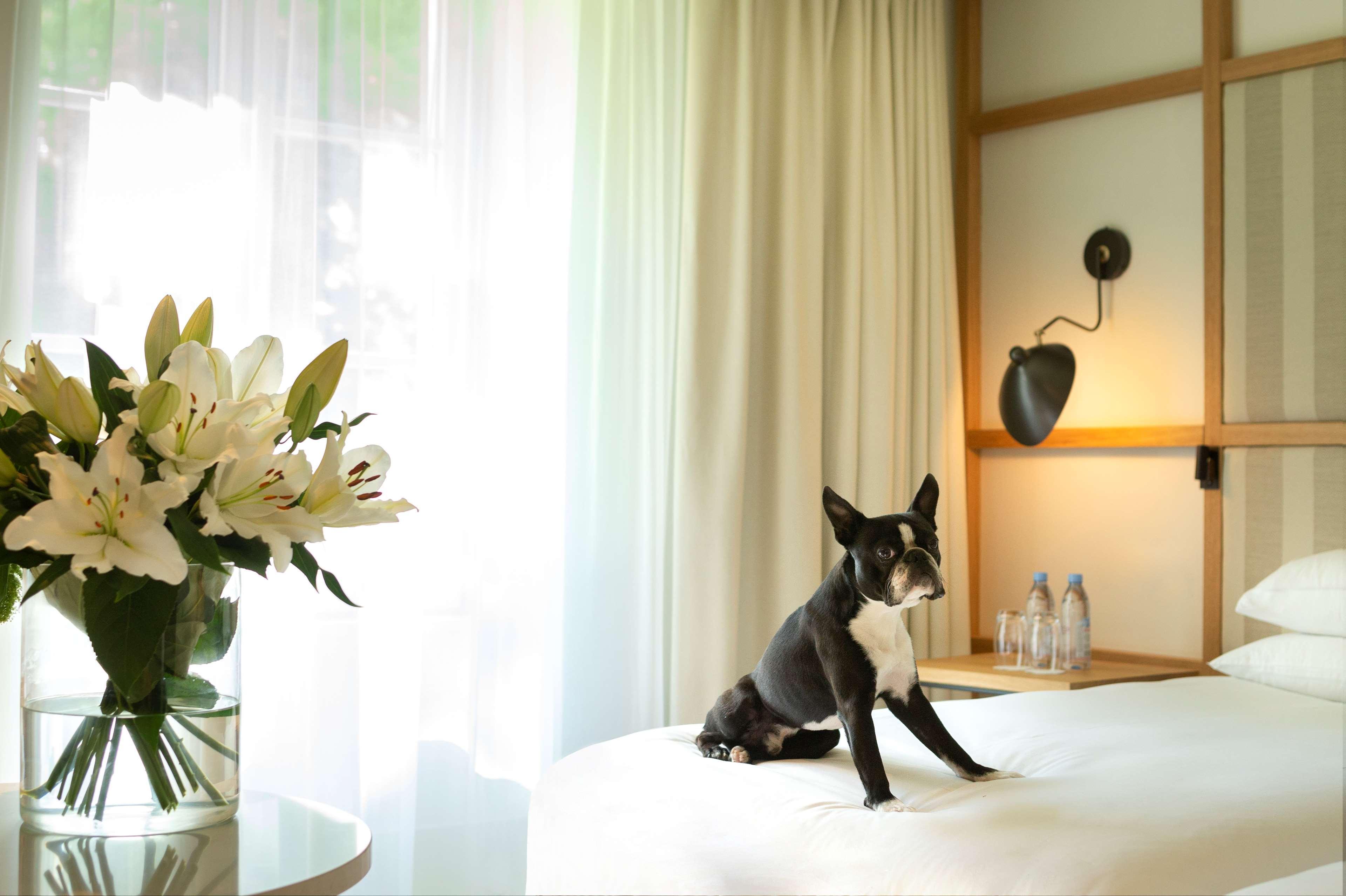 Hyatt Regency Chantilly Vineuil-Saint-Firmin Экстерьер фото